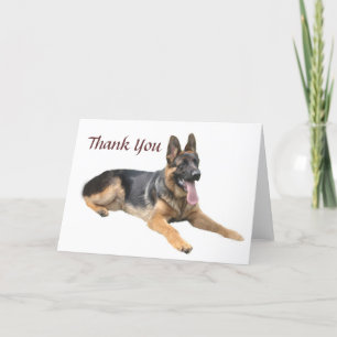German Shepherd - Hartelijk dank - Kaart