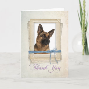 German Shepherd - Hartelijk dank - Kaart