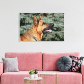 German Shepherd Headshot 1 Canvas Afdruk (Insitu (Woonkamer))