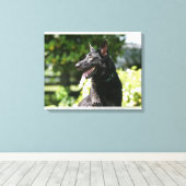German Shepherd Headshot 2 Canvas Afdruk (Insitu (Houten vloer))