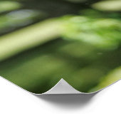 German Shepherd Headshot 2 Poster (Hoek)