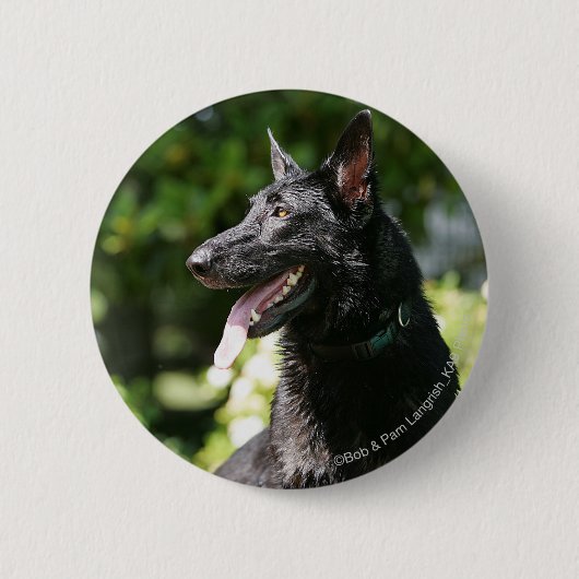German Shepherd Headshot 2 Ronde Button 5,7 Cm (Voorkant)