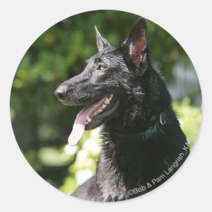 German Shepherd Headshot 2 Ronde Sticker