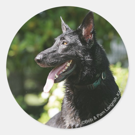 German Shepherd Headshot 2 Ronde Sticker (Voorkant)
