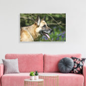 German Shepherd Headshot 3 Canvas Afdruk (Insitu (Woonkamer))