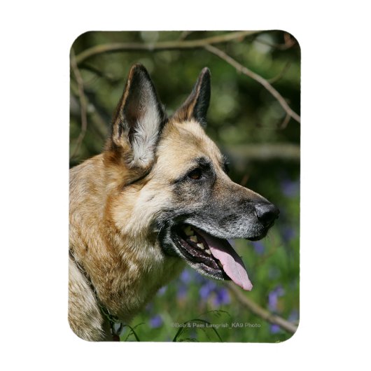 German Shepherd Headshot 3 Magneet (Verticaal)