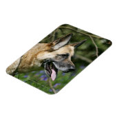 German Shepherd Headshot 3 Magneet (Linkerzijde)