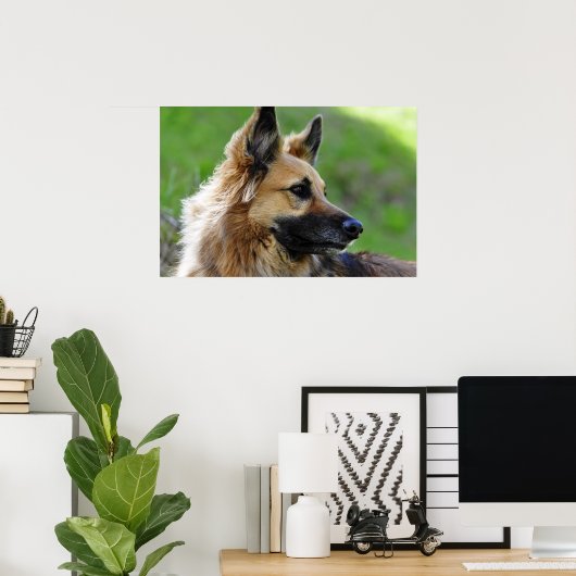German Shepherd Headshot Poster (Thuiskantoor)