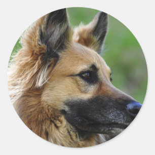 German Shepherd Headshot Ronde Sticker