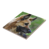 German Shepherd Headshot Tegeltje (Zijkant)