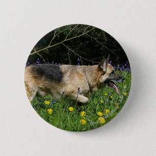 German Shepherd in Yellow Flowers Ronde Button 5,7 Cm