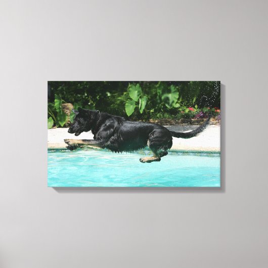German Shepherd Jumping in Water Canvas Afdruk (Voorkant)