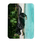 German Shepherd Jumping in Water Magneet (Verticaal)