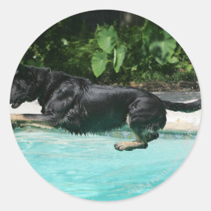 German Shepherd Jumping in Water Ronde Sticker
