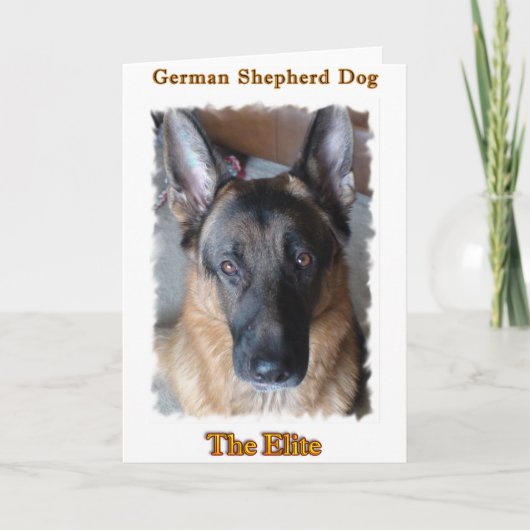 German Shepherd Kaart (Voorkant)