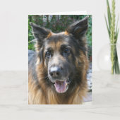 German Shepherd Kaart (Voorkant)