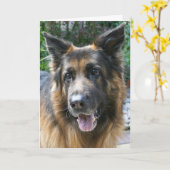German Shepherd Kaart (Gele Bloem)