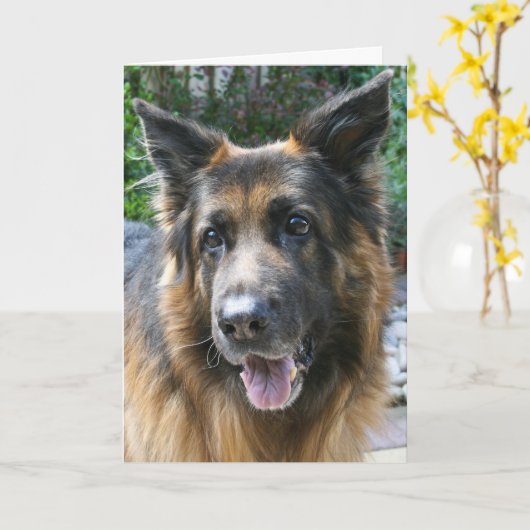 German Shepherd Kaart (Gele Bloem)