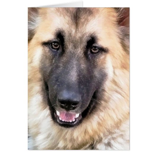 GERMAN SHEPHERD KAART (Voorkant)