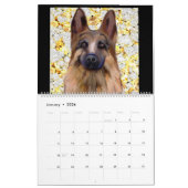 German Shepherd Kalender (Jan 2026)