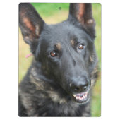 German Shepherd Klembord (Achterkant)