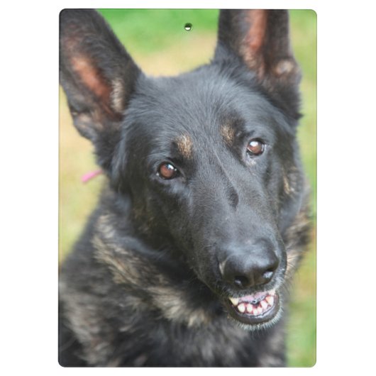 German Shepherd Klembord (Achterkant)