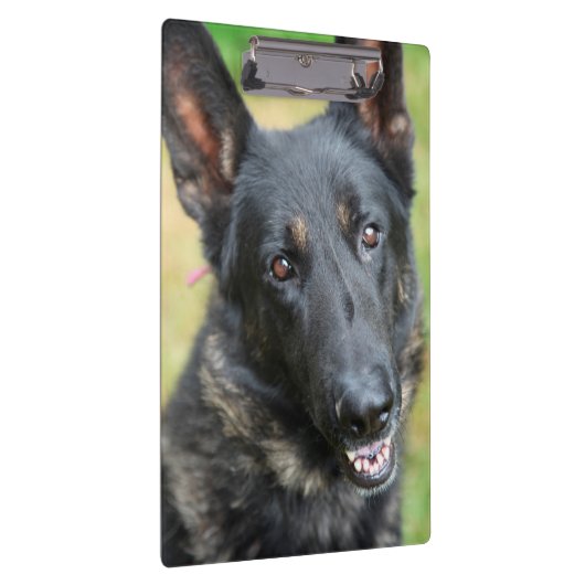 German Shepherd Klembord (Rechts)