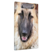 GERMAN SHEPHERD KLEMBORD (Rechts)