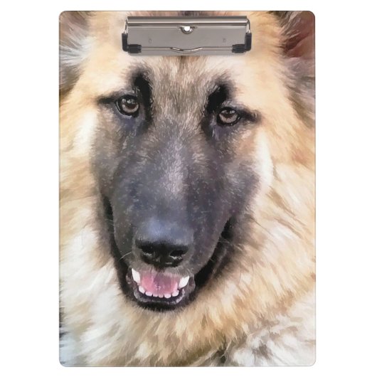 GERMAN SHEPHERD KLEMBORD (Voorkant)
