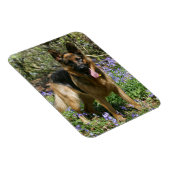 German Shepherd Laying Down Magneet (Rechterzijde)