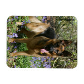 German Shepherd Laying Down Magneet (Horizontaal)
