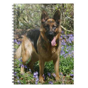 German Shepherd Laying Down Notitieboek