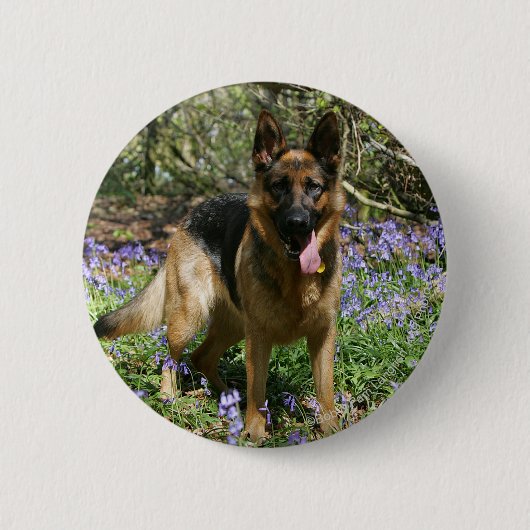 German Shepherd Laying Down Ronde Button 5,7 Cm (Voorkant)