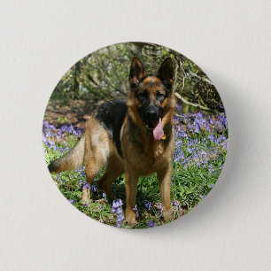 German Shepherd Laying Down Ronde Button 5,7 Cm