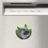 German Shepherd Magneet (Insitu (Vaatwasser))