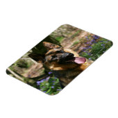 German Shepherd Magneet (Linkerzijde)