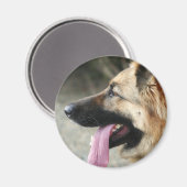 German Shepherd Magneet (Voorkant / Achterkant)