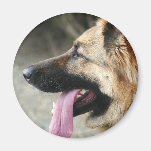 German Shepherd Magneet (Voorkant)