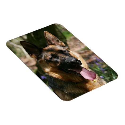 German Shepherd Magneet (Rechterzijde)