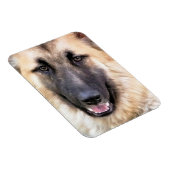 GERMAN SHEPHERD MAGNEET (Rechterzijde)