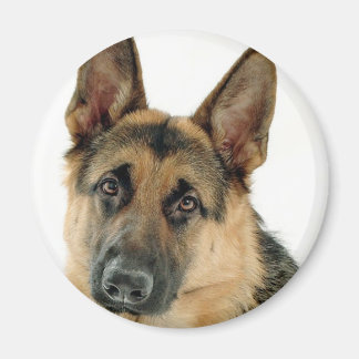 German Shepherd Magneet