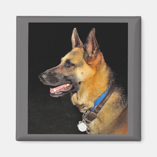 German Shepherd Magnet Magneet (Voorkant)