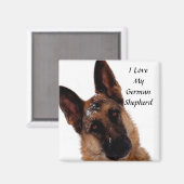 German Shepherd Magnet Magneet (Voorkant / Achterkant)