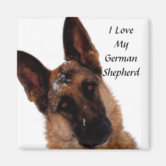 German Shepherd Magnet Magneet (Voorkant)