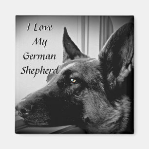 German Shepherd Magnet Magneet