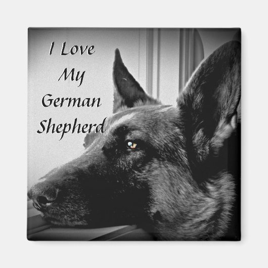 German Shepherd Magnet Magneet (Voorkant)