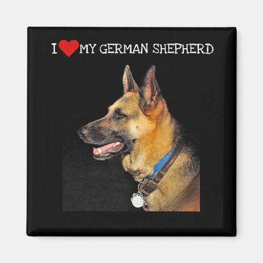 German Shepherd Magnet Magneet (Voorkant)