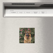 German Shepherd Magnet Magneet (Insitu (Vaatwasser))