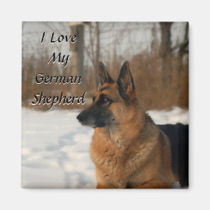 German Shepherd Magnet Magneet