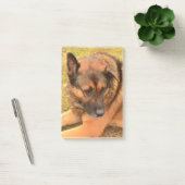 German Shepherd met One Floppy Ear Post-it® Notes (Kantoor)